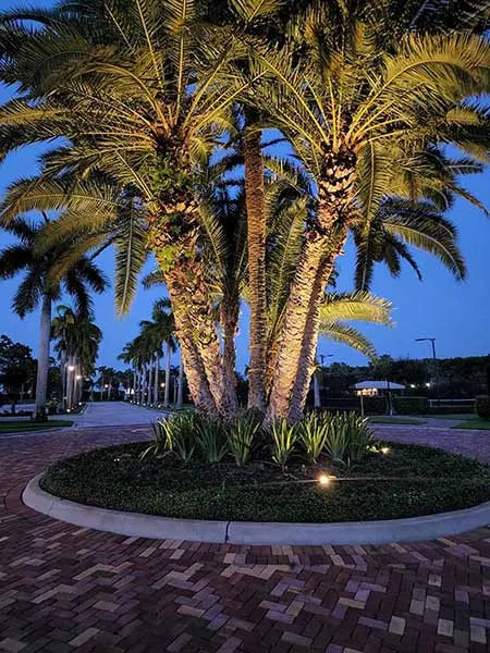 Landscape and exterior lighting installed by Ehman Electric